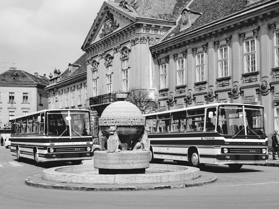  Ikarus 256 1974 года  (фото 6 из 22)